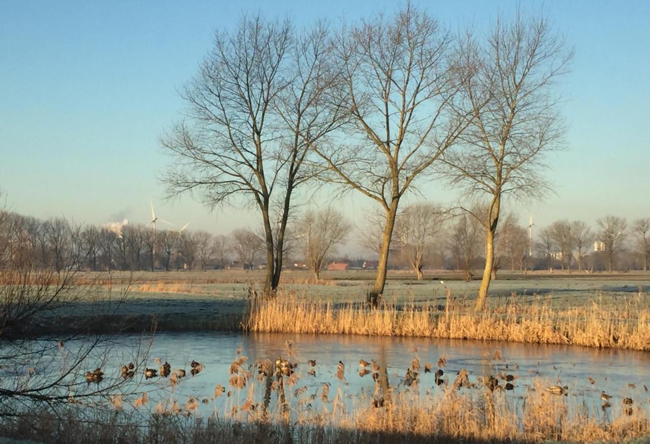 Logies De Meerkoet Bruges Luaran gambar